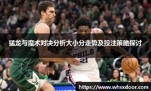 猛龙与魔术对决分析大小分走势及投注策略探讨