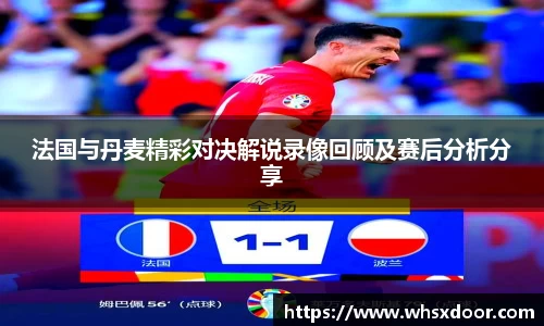 法国与丹麦精彩对决解说录像回顾及赛后分析分享