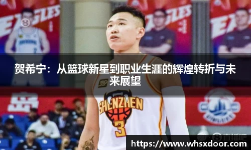 贺希宁：从篮球新星到职业生涯的辉煌转折与未来展望