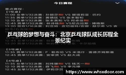 乒乓球的梦想与奋斗：北京乒乓球队成长历程全景纪实