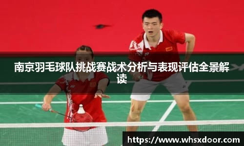 南京羽毛球队挑战赛战术分析与表现评估全景解读